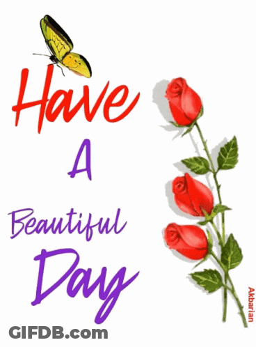 A Butterfly Sits On Top Of A Red Rose With The Words Have A Beautiful Day Below It GIF