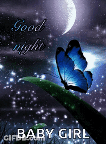 A Butterfly Sitting On A Leaf With The Words Good Night Baby Girl GIF