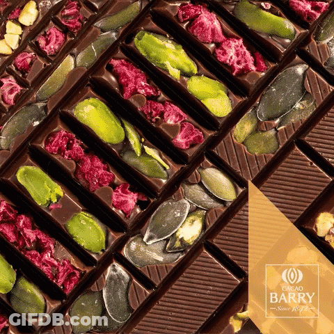 A Cacao Barry Chocolate Bar With Nuts And Berries GIF