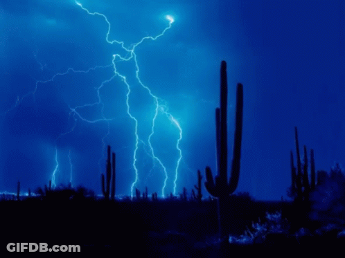 A Cactus Is Silhouetted Against A Lightning Storm GIF