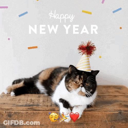 A Calico Cat Wearing A Party Hat Laying On A Wooden Table With The Words Happy New Year Written Above It GIF