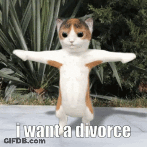A Calico Cat With Its Arms Outstretched And The Words I Want A Divorce Below It GIF