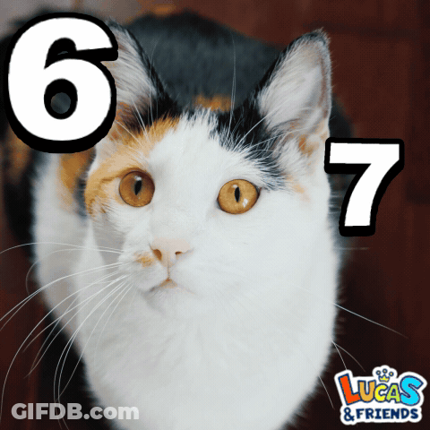 A Calico Cat With The Number 6 And 7 On It GIF