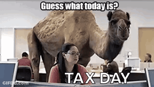 A Camel Is Standing On A Woman 'S Back In An Office . GIF