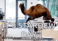 A Camel Is Standing On Top Of A Desk In An Office . GIF