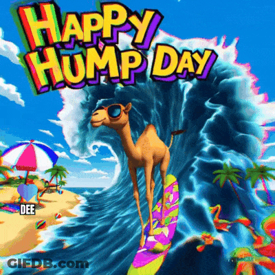 A Camel Riding A Wave On A Surfboard With The Words Happy Hump Day GIF