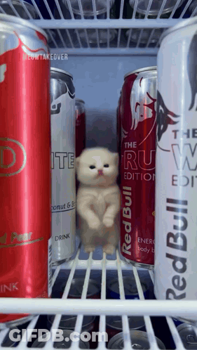A Can Of Red Bull Sits On A Shelf Next To Some Other Cans GIF