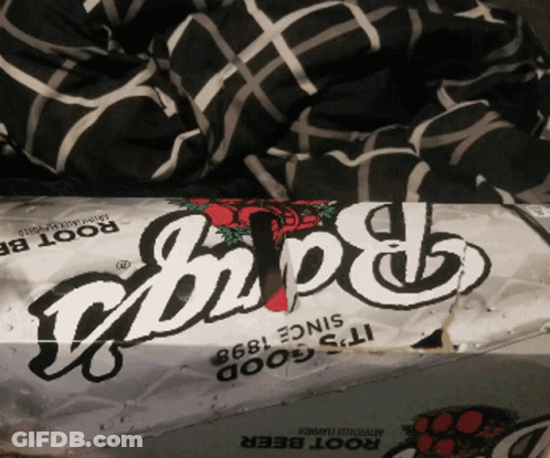 A Can Of Root Beer Sits On A Bed Next To A Plaid Blanket GIF
