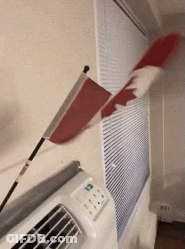 A Canadian Flag Is Blowing In The Wind Next To A Window . GIF