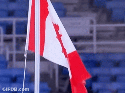 Canadian Flag Flying In Front Of Stadium GIF