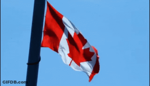 A Canadian Flag Is Waving In The Wind GIF