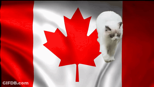 A Canadian Flag With A Maple Leaf On It GIF