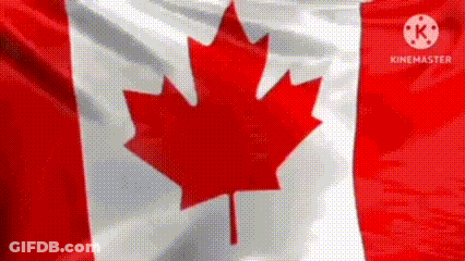 A Canadian Flag With A Red Maple Leaf On It Is Waving In The Wind . GIF