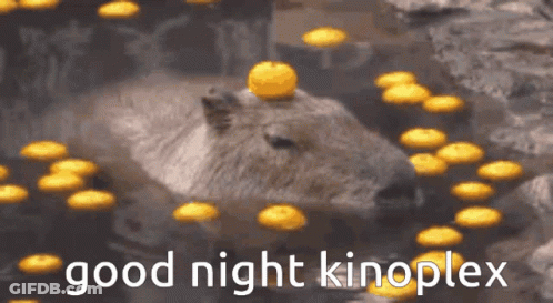 A Capybara Is Laying In The Water Surrounded By Yellow Candles And The Words Good Night Kinoplex GIF