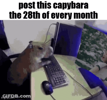 A Capybara Is Sitting At A Desk With A Keyboard And Mouse GIF