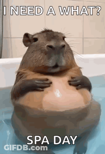 A Capybara Is Sitting In A Bathtub Holding Its Belly And Says I Need A What Spa Day . GIF