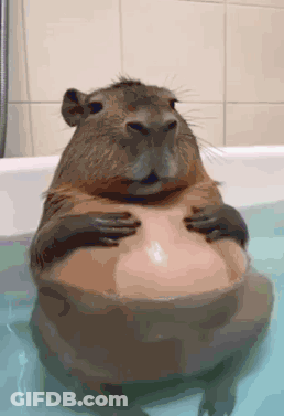 A Capybara Is Sitting In A Bathtub With Its Arms Around Its Belly . GIF