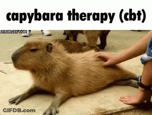 A Capybara Laying On The Ground Being Petted By Someone GIF