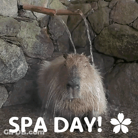 A Capybara Taking A Bath With The Words Spa Day Written Above It GIF