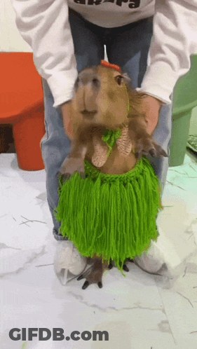 A Capybara Wearing A Green Hawaiian Skirt Is Being Held By Someone GIF