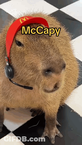 A Capybara Wearing A Red Mcdonald 'S Hat And Headphones Named Mccapy GIF