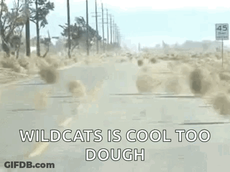 A Car Is Driving Down A Dirt Road With The Words `` Wildcats Is Cool Too Dough '' Written On The Side . GIF