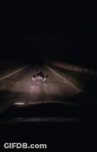 A Car Is Driving Down A Road At Night With The Words " I 'M Still Alive " Above It GIF