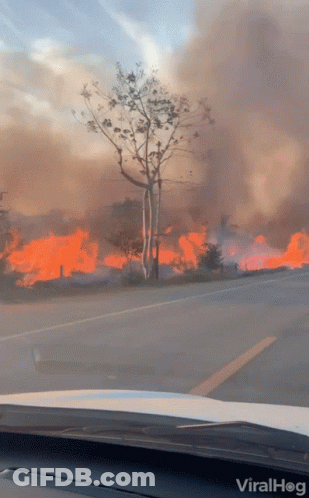 A Car Is Driving Down A Road With A Fire In The Background And The Word Viralhog On The Hood GIF