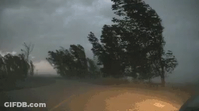 A Car Is Driving Down A Road With Trees Blowing In The Wind In A Storm . GIF