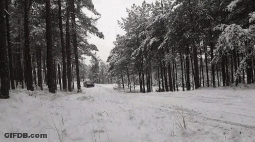 A Car Is Driving Down A Snowy Road In The Woods . GIF
