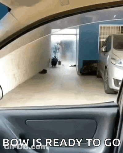 A Car Is Parked In A Garage With The Words Bow Is Ready To Go Written On The Side GIF