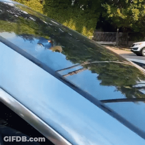 A Car Is Parked In Front Of A Fence With Trees Reflected In The Windshield GIF