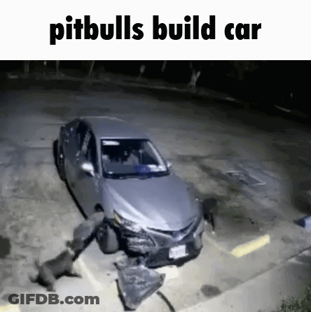 A Car That Has Been Damaged By Pitbulls Is Sitting In A Parking Lot At Night . GIF
