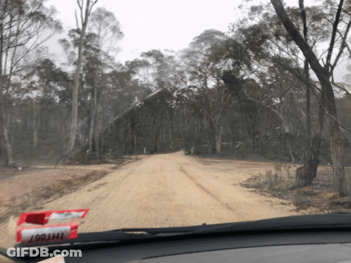 A Car Windshield Shows A Dirt Road With Trees On The Side GIF