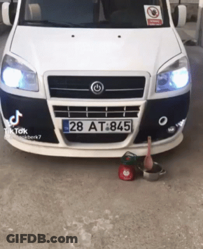 A Car With A License Plate That Says 28 At 845 GIF