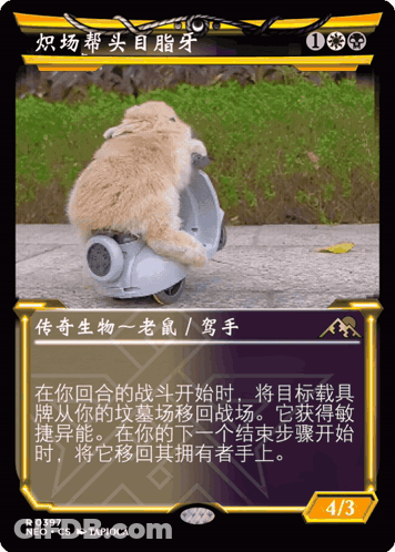 A Card That Has A Picture Of A Rabbit On It And Says 4/3 GIF