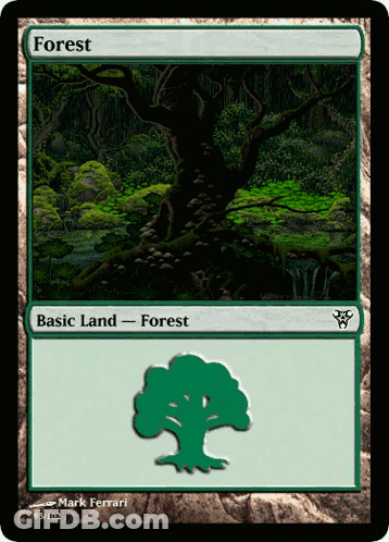 A Card That Says Forest On It With A Tree On It GIF