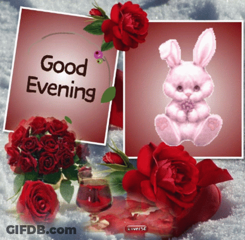 A Card That Says Good Evening With Red Roses And A Stuffed Bunny GIF