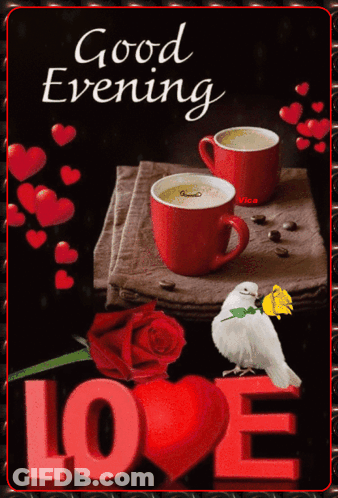 A Card That Says Good Evening With Two Cups Of Coffee And A Bird GIF