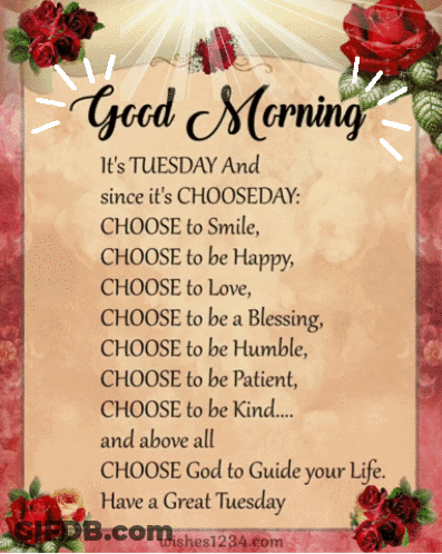 A Card That Says Good Morning It 'S Tuesday And Since It 'S Chooseday Choose To Smile GIF