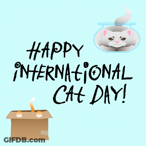 A Card That Says Happy International Cat Day With A Cat In A Box GIF
