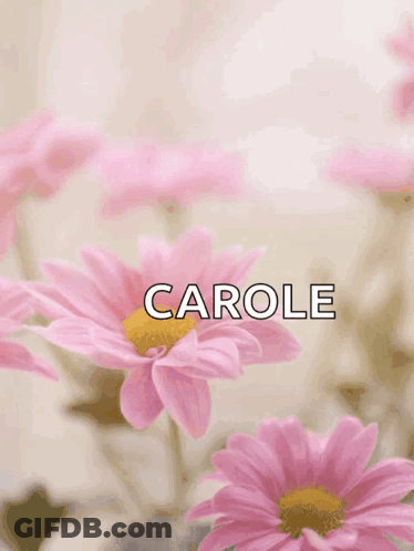 A Card That Says Happy Mother 'S Day Carole On It GIF