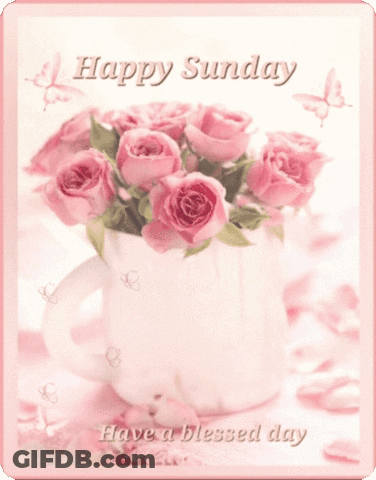 A Card That Says Happy Sunday And Has Pink Roses In A Cup GIF