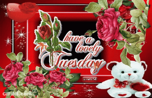 A Card That Says Have A Lovely Tuesday With Flowers And A Teddy Bear GIF