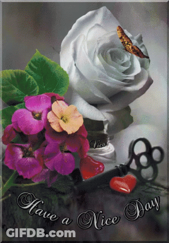 A Card That Says Have A Nice Day GIF