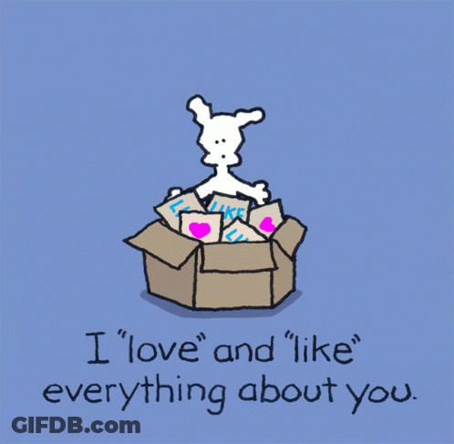 A Card That Says " I Love And Like Everything About You " On It GIF