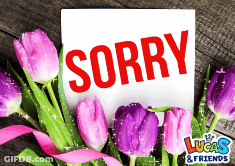 A Card That Says Sorry With Purple Tulips In The Background GIF