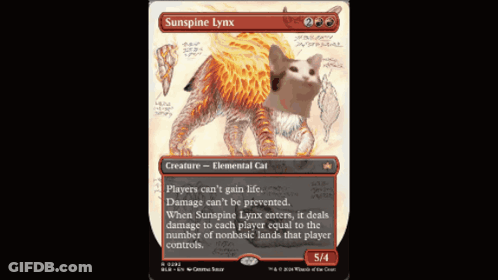 A Card That Says ' Sunshine Lynx ' At The Top Of It GIF