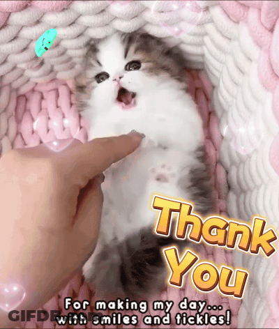 A Card That Says Thank You For Making My Day GIF