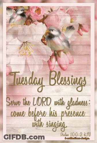 A Card That Says Tuesday Blessings With Flowers And Birds On It GIF